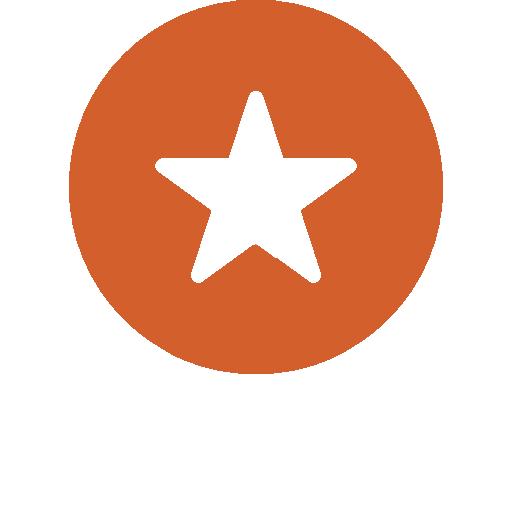 bronze medal icon