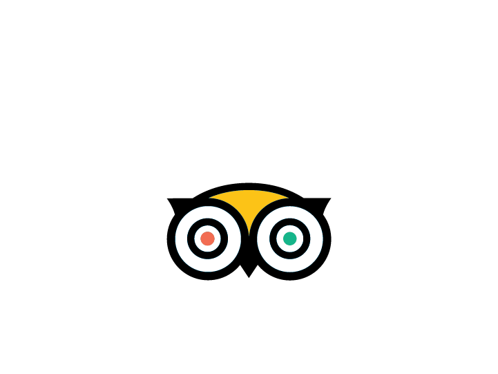 TripAdvisor Certificate
